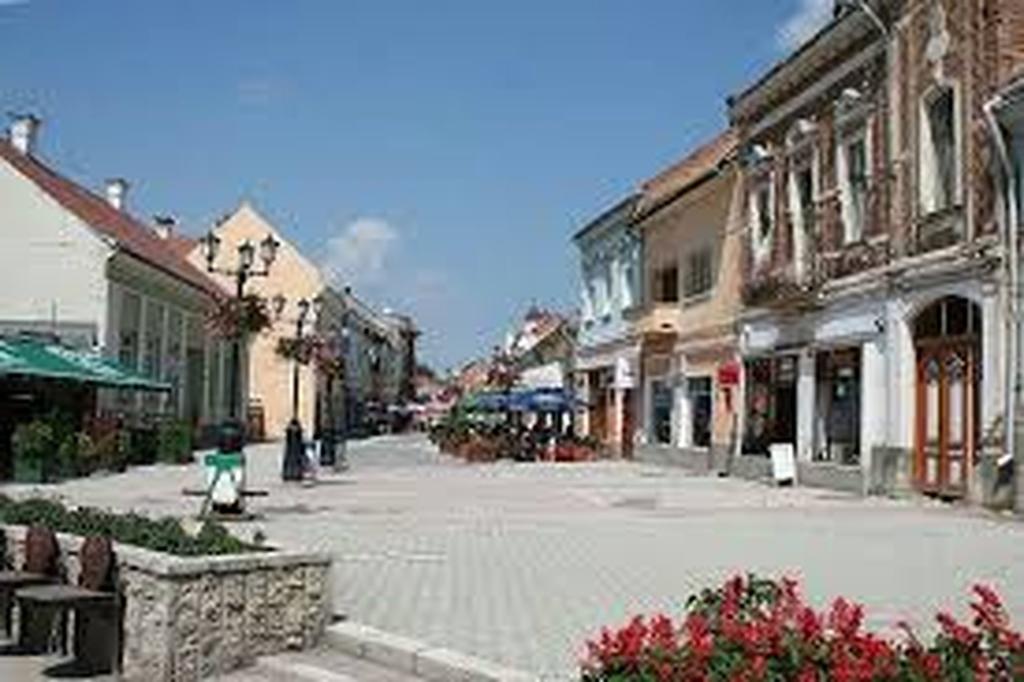 Hotel Betty Panzio Miercurea Ciuc Exteriér fotografie